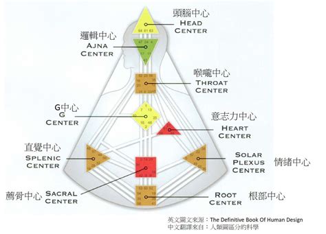 九大能量|會看人類圖嗎？人類圖九大能量中心速成懶人包：初學者輕鬆入門